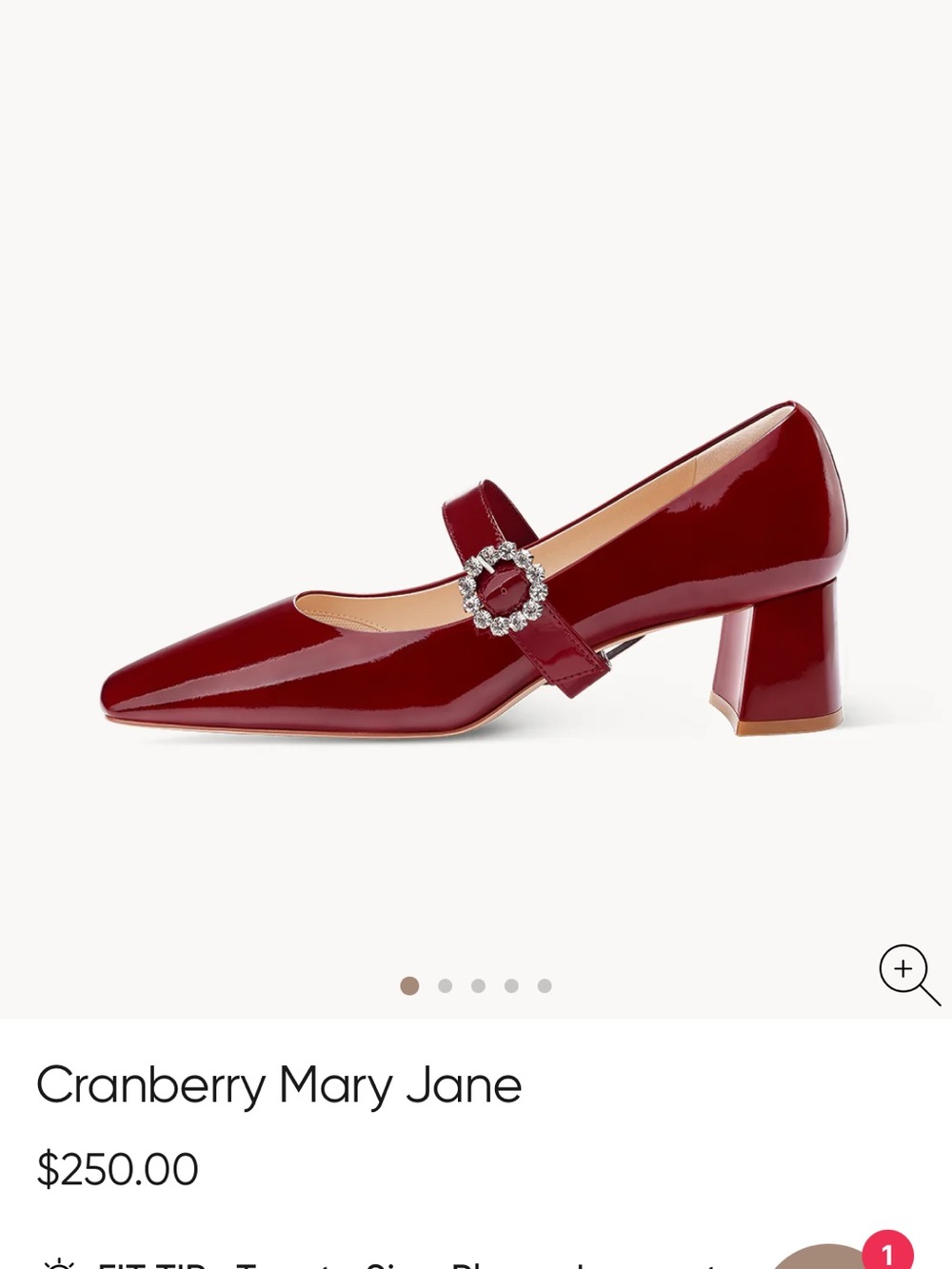 Cranberry Mary Jane Block Heel Pump